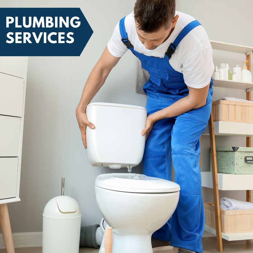 Plumbing Company in Venice, FL